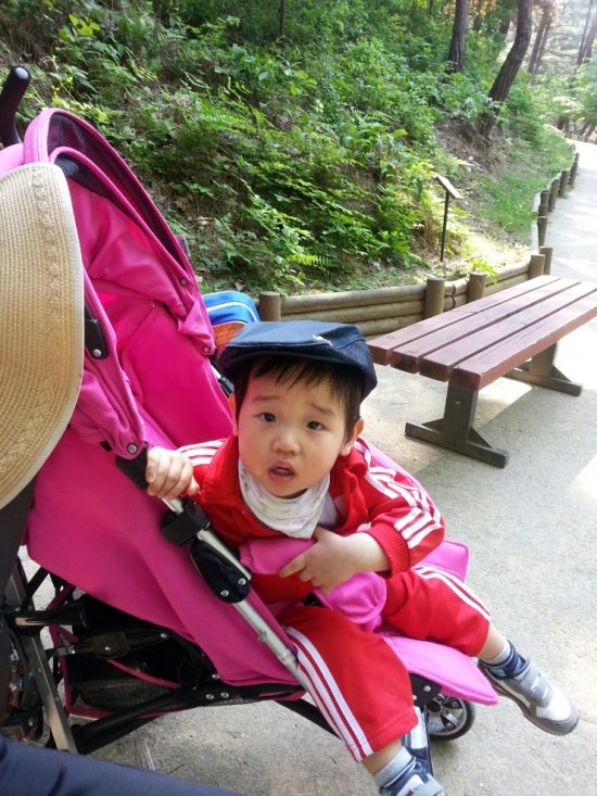 Cheongnamdae