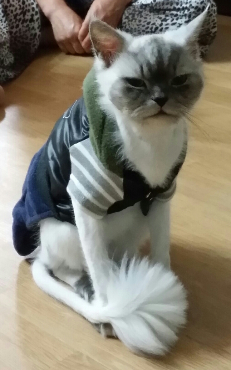 대숲김치 이미지