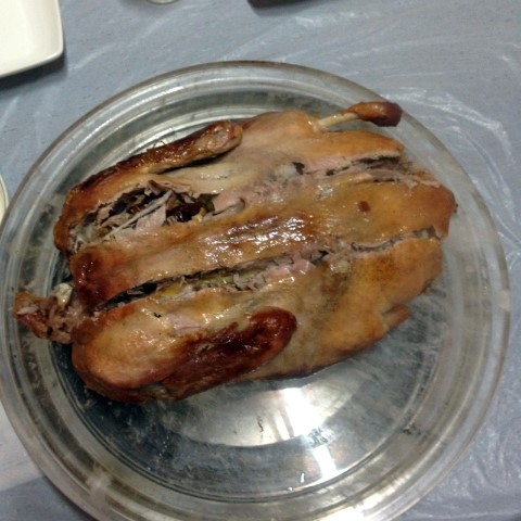 토담오리 이미지
