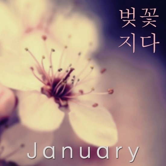 재뉴어리 이미지