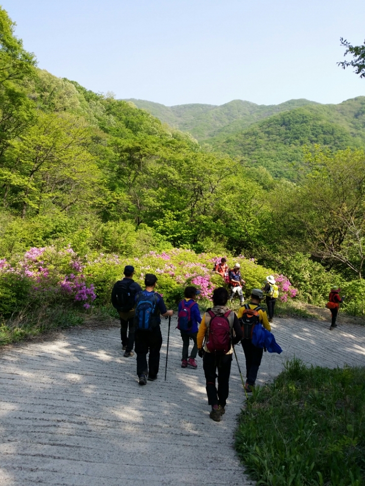 산정상 이미지