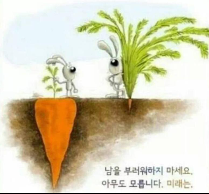 샤르망헤어 이미지