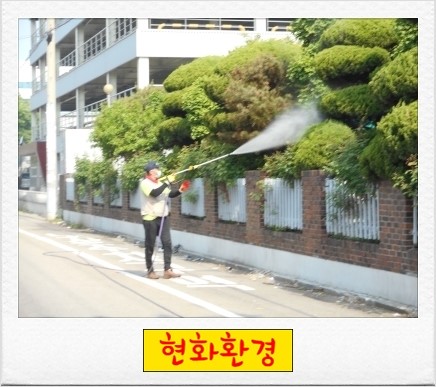현화환경 이미지