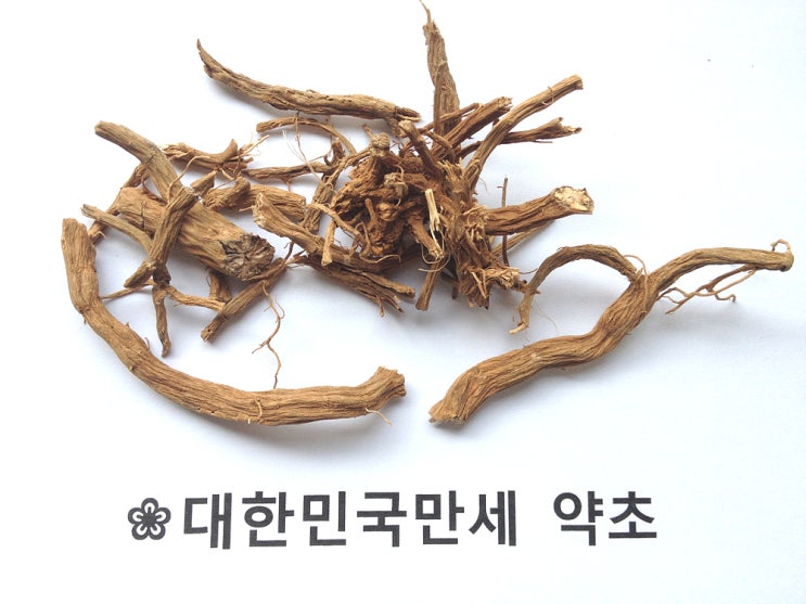 속단 효능과 부작용, 속단먹는법 : 네이버 블로그