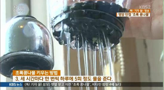 초록영양 이미지