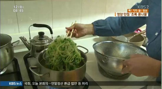 초록영양 이미지