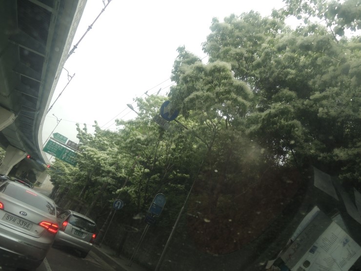 동산떡집 이미지