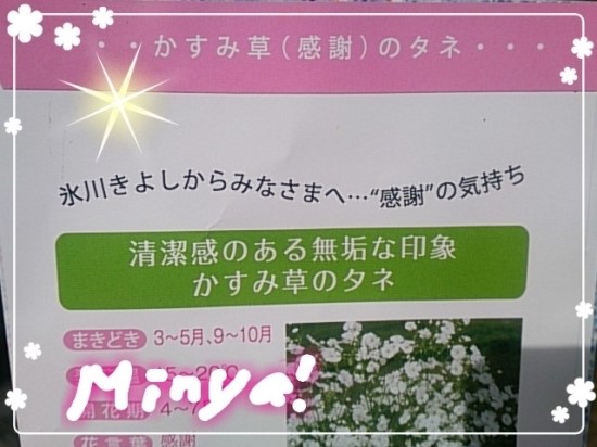 키요시 이미지