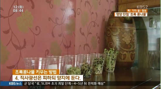 초록영양 이미지