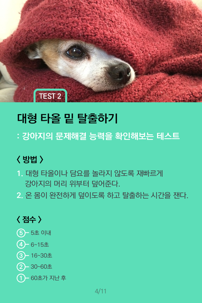 코랜 이미지