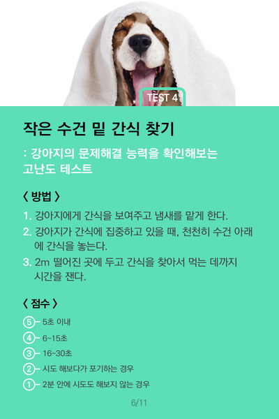 코랜 이미지