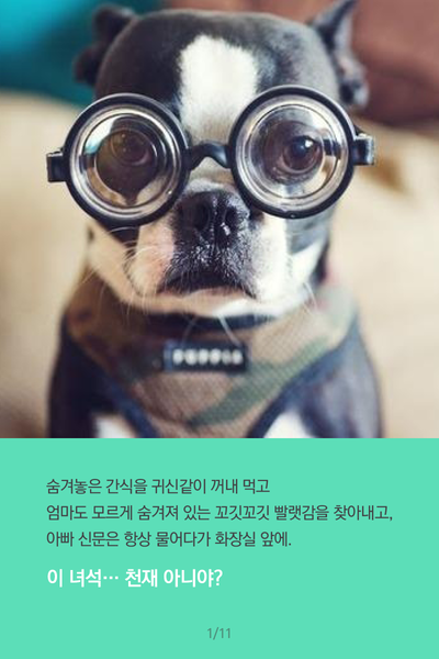 코랜 이미지