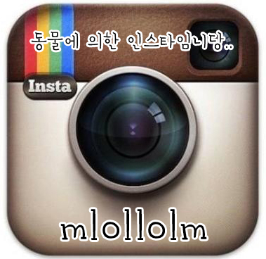 신촌시스터즈 이미지