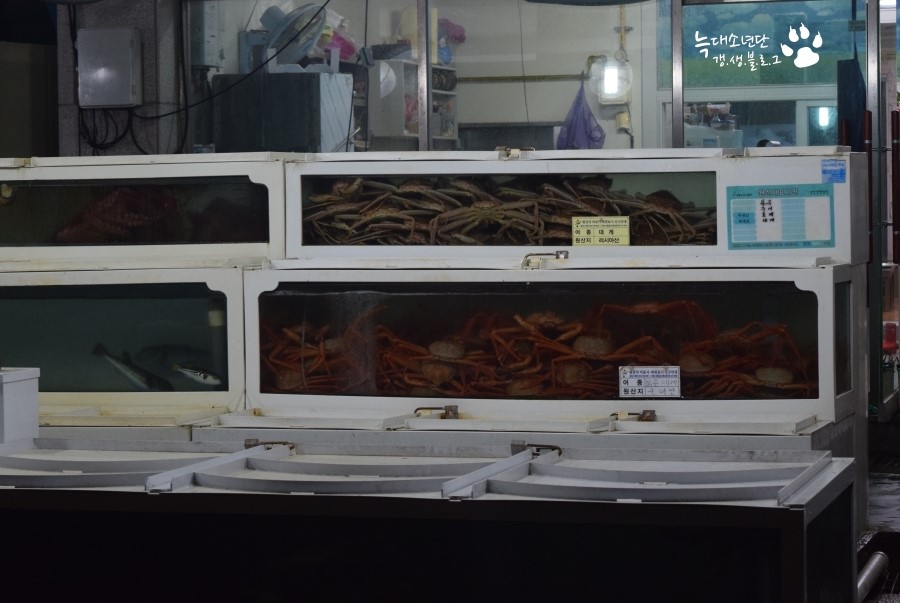 왕돌수산 이미지