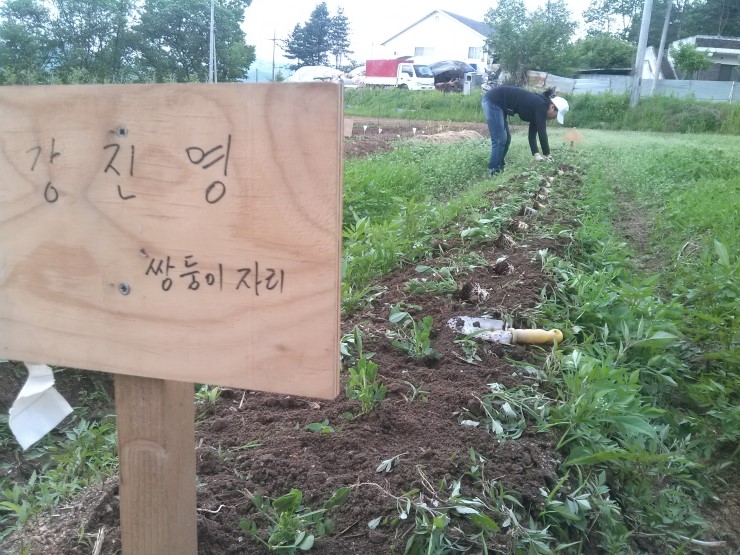 소셜팜 이미지