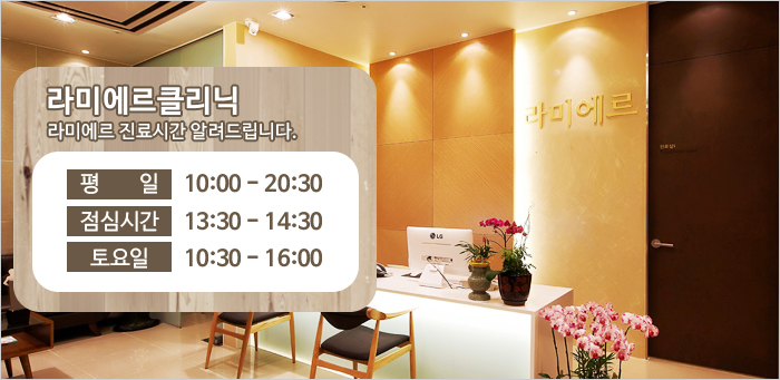 라미에르 이미지
