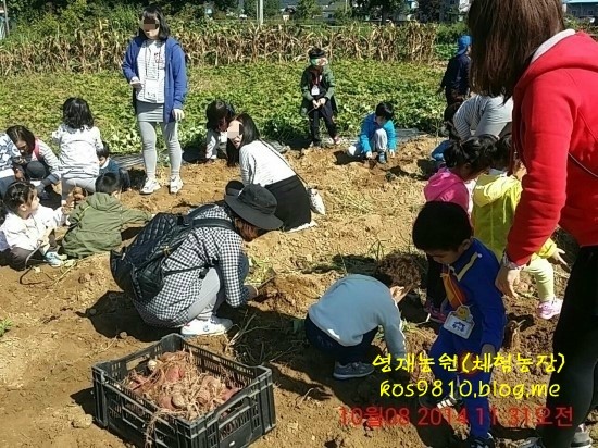 영재농원 이미지