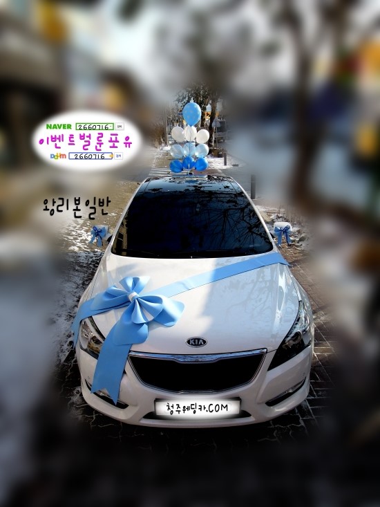 이벤트벌룬포유 이미지