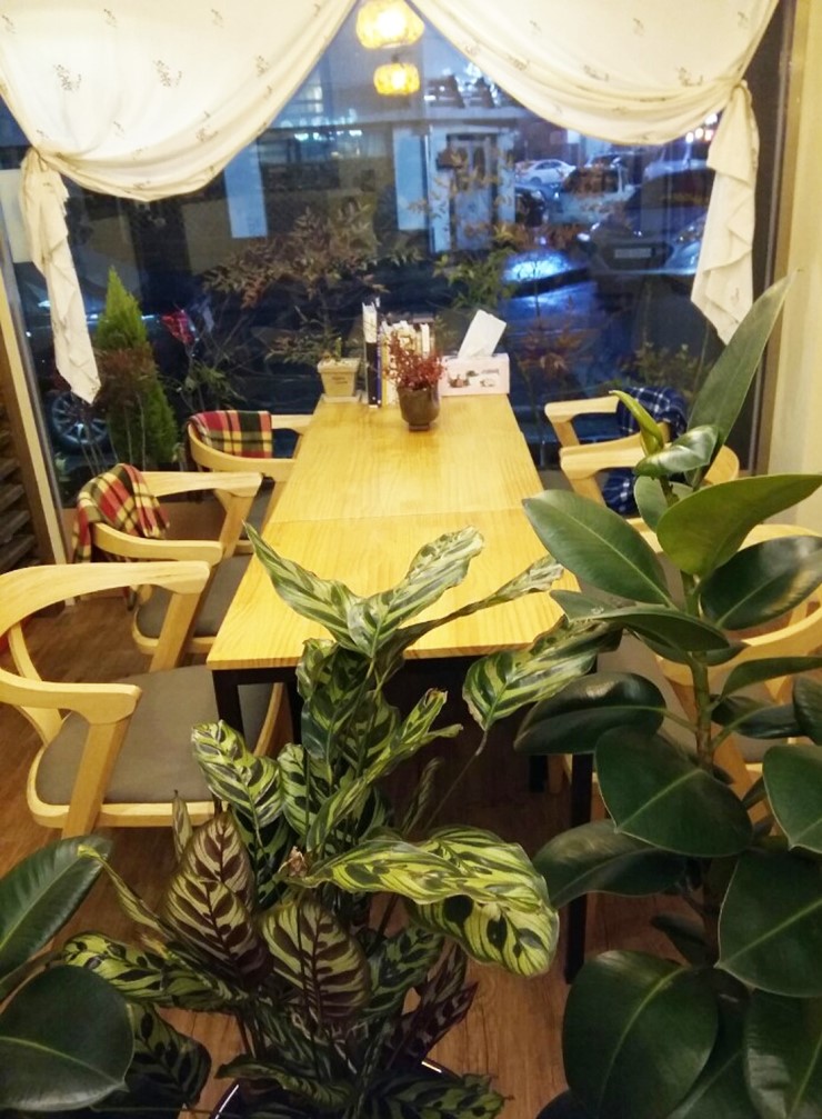 차나무숲 이미지