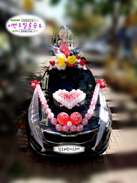 이벤트벌룬포유 이미지