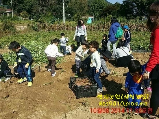 영재농원 이미지