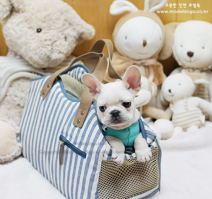 따봉PC 이미지