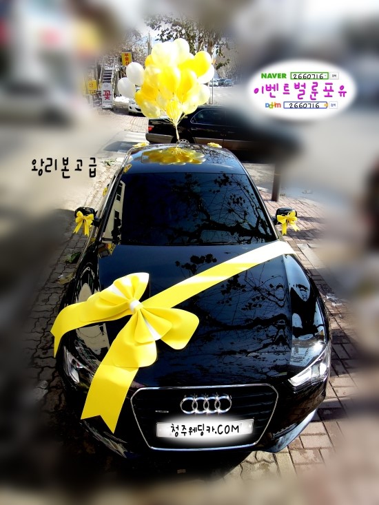 이벤트벌룬포유 이미지