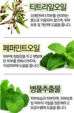 스팟콘 이미지