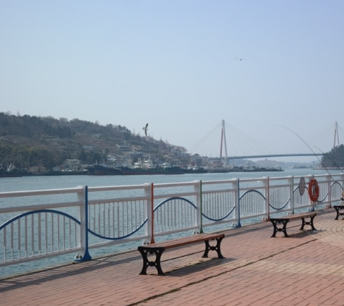 the 쫑포 이미지