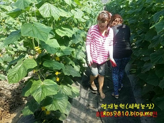 영재농원 이미지