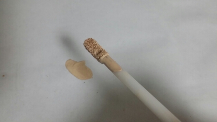 디케이스킨 이미지