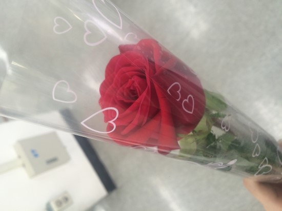 뚠뚜니네 이미지