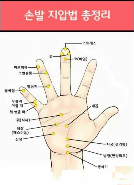 손지압법, 발지압법 손지압,발지압,혈자리,손 혈자리,발 혈자리,오장육부,피로회복 : 네이버 블로그