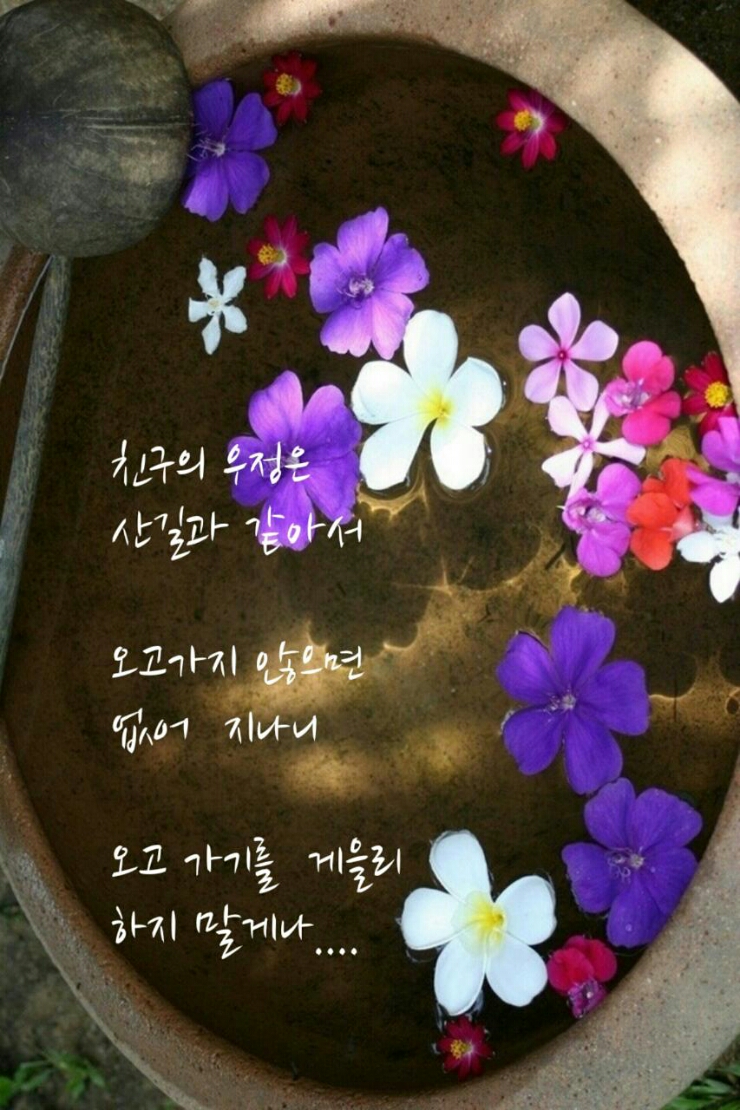 나폴리회식당 이미지