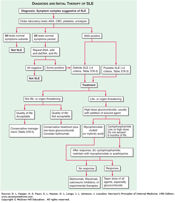 SLE, Diagnosis : 네이버 블로그