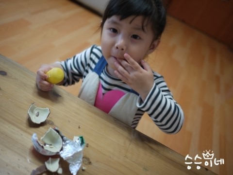 에어핀덴 이미지