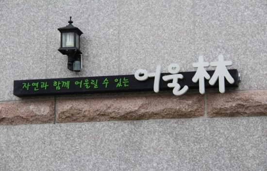 솜니움트리 이미지
