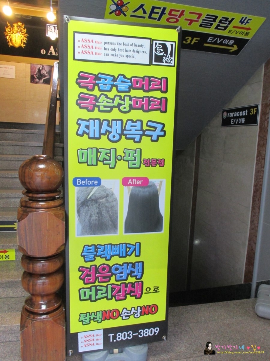 OASSA(오아사) 이미지