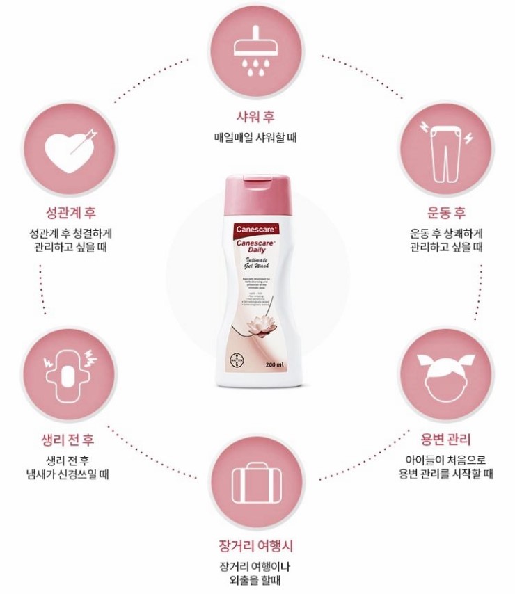 카네스 이미지