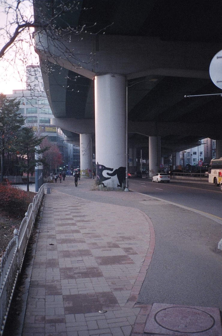 스코피홍대 이미지