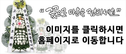 야탑동 351 (분당차병원) 이미지