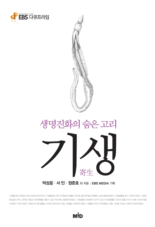 카두케우스 이미지