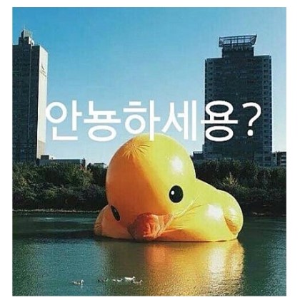 헤라코스메틱 이미지