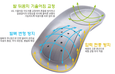 더스타일바디 이미지