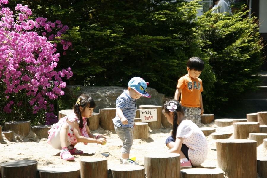 숲의요정펜션 이미지