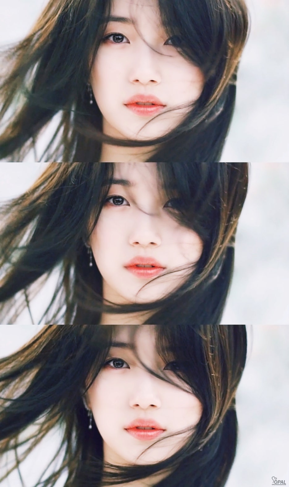 수지맞다 이미지