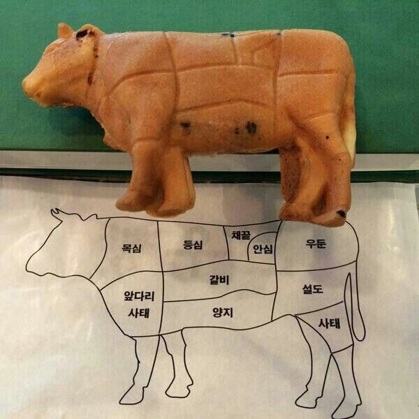 찾아가는 한우 이미지