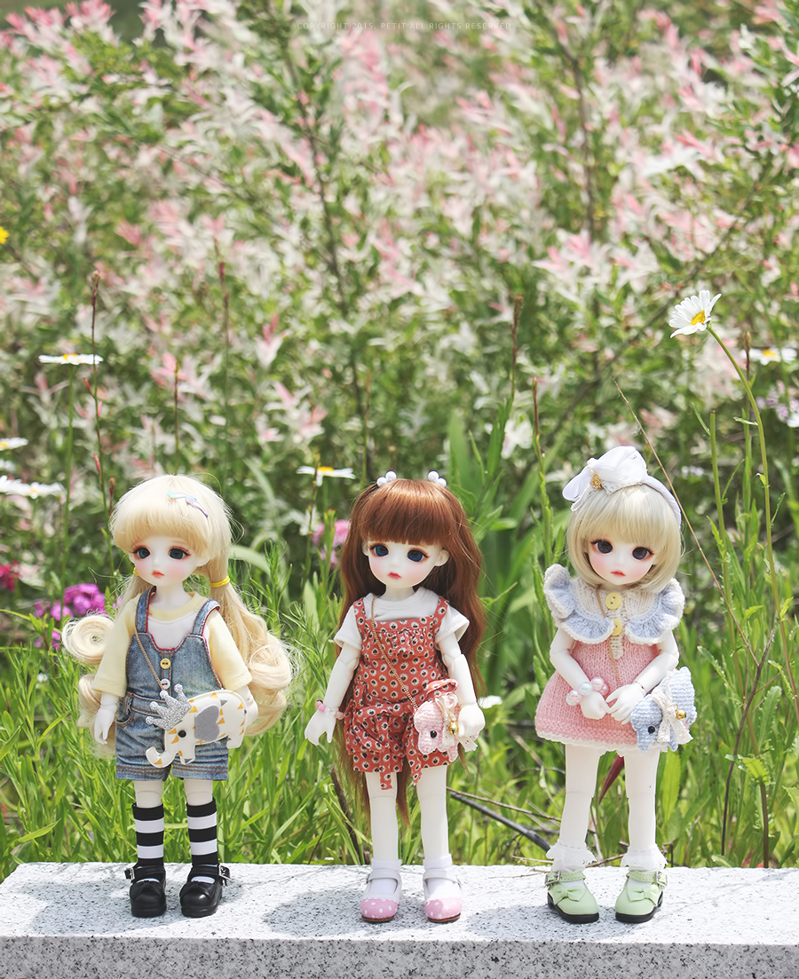 데이지 파티(Daisy Party) 이미지