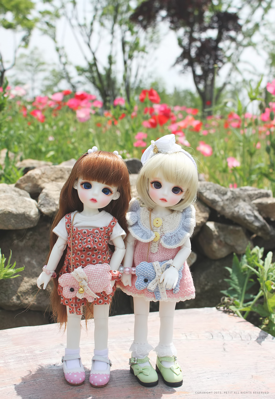 데이지 파티(Daisy Party) 이미지