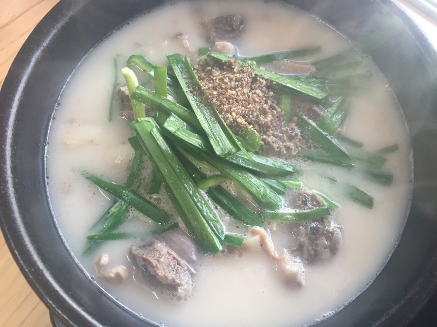 요거스토리 이미지